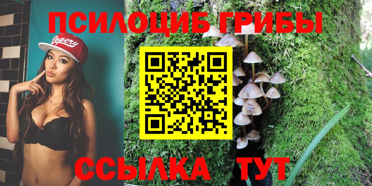 Галлюциногенные грибы MAGIC MUSHROOMS Вышний Волочёк