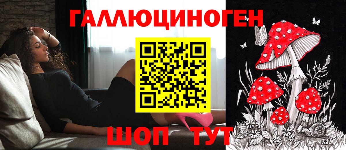 Вышний Волочёк  Псилоцибиновые грибы Cubensis  Вход с VPN 