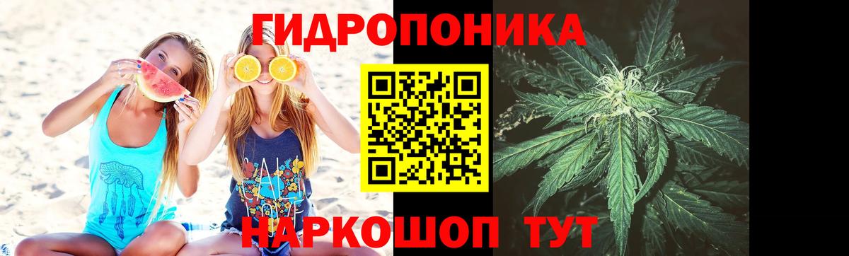 Вышний Волочёк  Каннабис гибрид  Бошки марихуана семена  Вход с VPN  Бошки Шишки ГИДРОПОН 